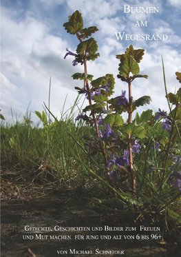 Blumen am Wegesrand