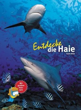 Entdecke die Haie