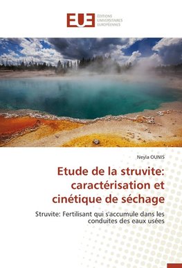 Étude de la struvité: caractérisation et cinétique de séchage