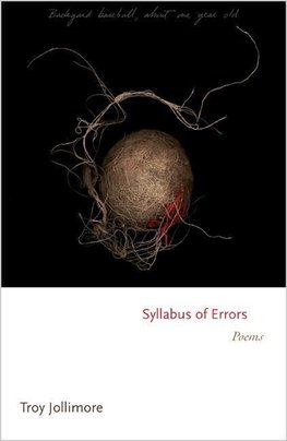 Syllabus of Errors