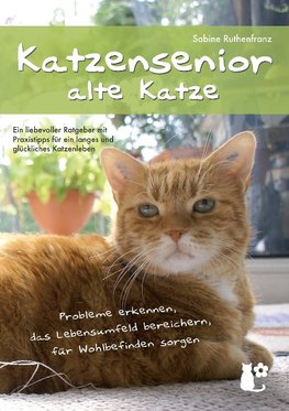 Katzensenior - alte Katze