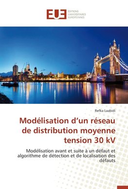 Modélisation d'un réseau de distribution moyenne tension 30 kV