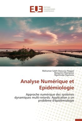 Analyse Numérique et Epidémiologie