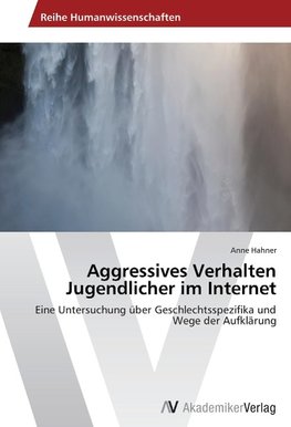 Aggressives Verhalten Jugendlicher im Internet