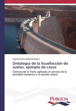 Ontología de la licuefacción de suelos, ejemplo de casos