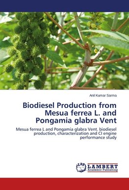 Biodiesel Production from Mesua ferrea L. and Pongamia glabra Vent