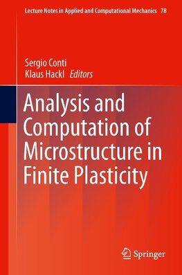 Analysis and Computation of Microstructure in Finite Plasticity