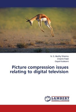 Picture compression issues relating to digital television