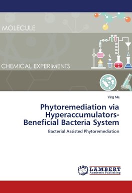 Phytoremediation via Hyperaccumulators-Beneficial Bacteria System