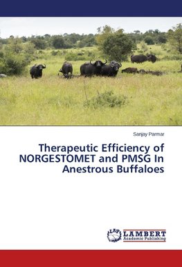 Therapeutic Efficiency of NORGESTOMET and PMSG In Anestrous Buffaloes