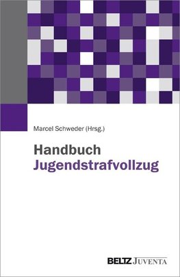 Handbuch Jugendstrafvollzug