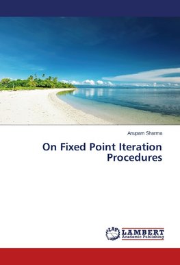 On Fixed Point Iteration Procedures