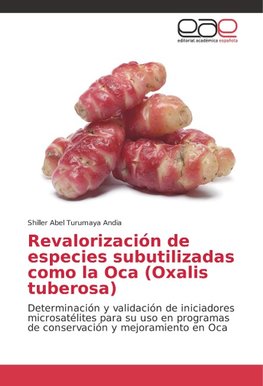 Revalorización de especies subutilizadas como la Oca (Oxalis tuberosa)