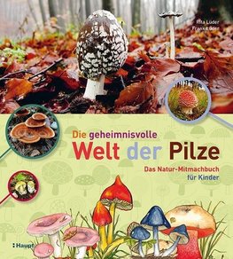 Die geheimnisvolle Welt der Pilze