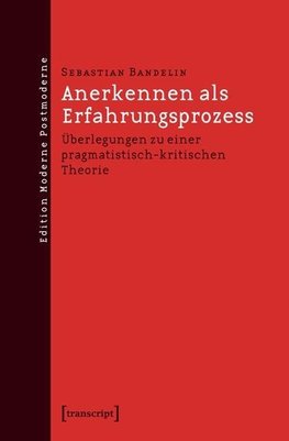 Anerkennen als Erfahrungsprozess