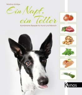 Ein Napf, ein Teller