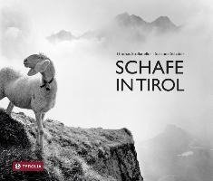 Schafe in Tirol