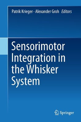 Sensorimotor Integration in the Whisker System