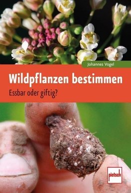 Wildpflanzen bestimmen