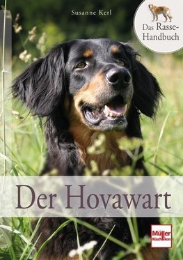 Der Hovawart