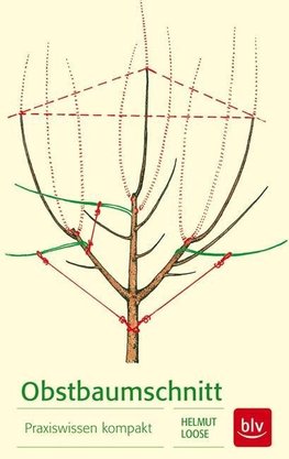 Obstbaumschnitt