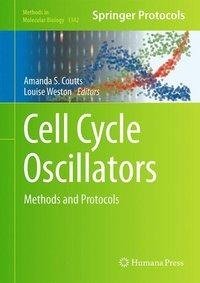 Cell Cycle Oscillators