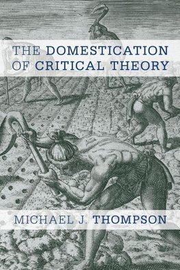 Domestication of Critical Theory