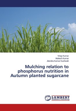 Mulching relation to phosphorus nutrition in Autumn planted sugarcane