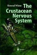 The Crustacean Nervous System