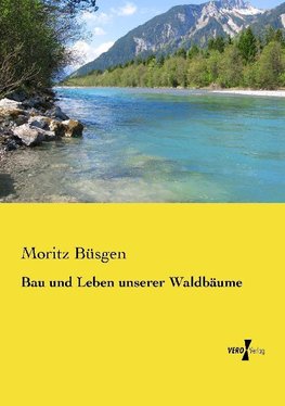 Bau und Leben unserer Waldbäume