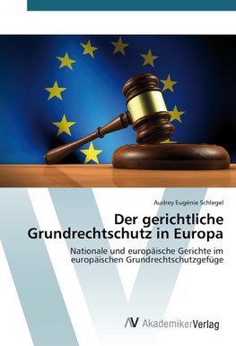 Der gerichtliche Grundrechtschutz in Europa