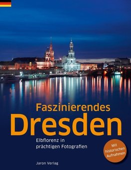 Faszinierendes Dresden