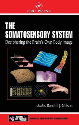 The Somatosensory System