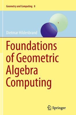 Foundations of Geometric Algebra Computing