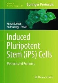 Induced Puripotent Stem Cells (iPS)