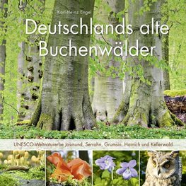 Deutschlands alte Buchenwälder