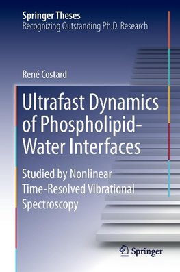 Ultrafast Dynamics of Phospholipid-Water Interfaces