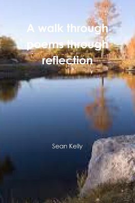 A walk through poems through reflection