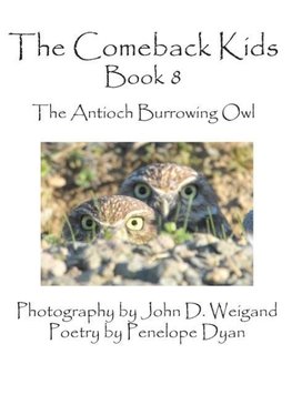 The Comeback Kids, Book 8, the Antioch Burrowing Owl