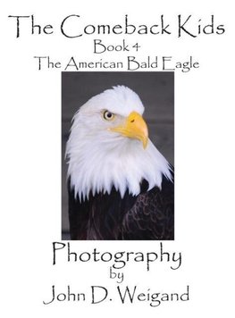 The Comeback Kids, Book 4, The American Bald Eagle