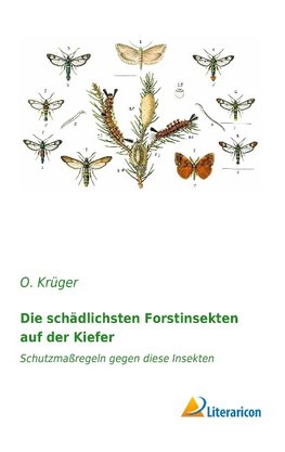 Die schädlichsten Forstinsekten auf der Kiefer