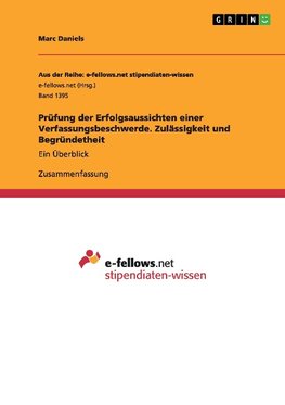 Prüfung der Erfolgsaussichten einer Verfassungsbeschwerde. Zulässigkeit und Begründetheit