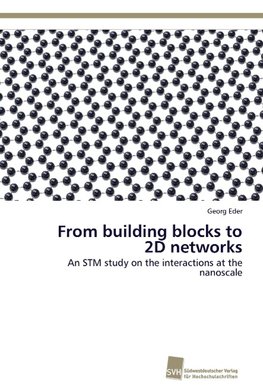 From building blocks to 2D networks