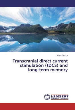 Transcranial direct current stimulation (tDCS) and long-term memory