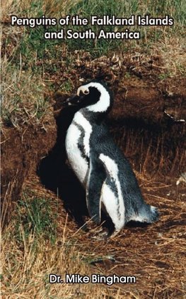 Penguins of the Falkland Islands and South America