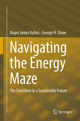 Navigating the Energy Labyrinth