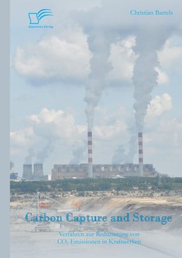 Carbon Capture and Storage: Verfahren zur Reduzierung von CO2-Emissionen in Kraftwerken