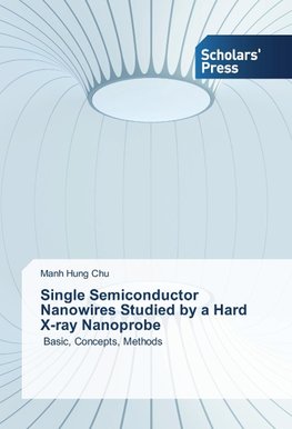 Single Semiconductor Nanowires Studied by a Hard X-ray Nanoprobe