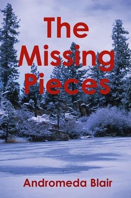 The Missing Pieces