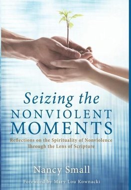 Seizing the Nonviolent Moments